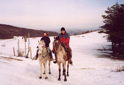 valenettunoedavidearoldthb.jpg 400*276